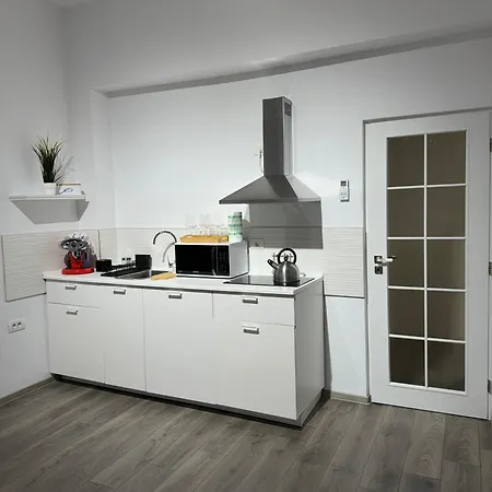 The Queen Bee - Premium Apartment Timisoara