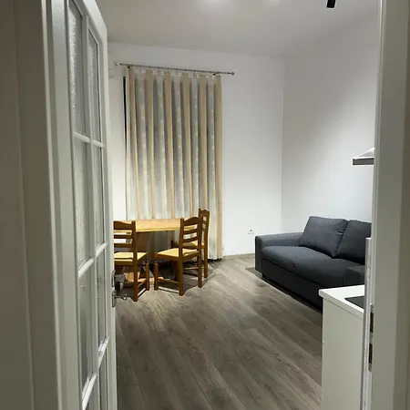 The Queen Bee - Premium Timisoara
