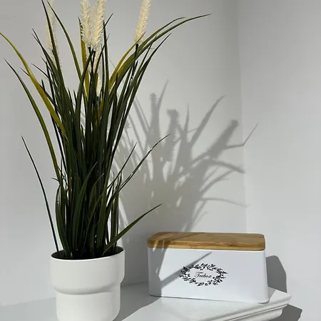 Apartment The Queen Bee - Premium Timisoara