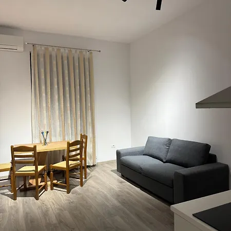 The Queen Bee - Premium Timisoara