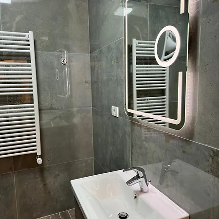 The Queen Bee - Premium Apartment Timisoara